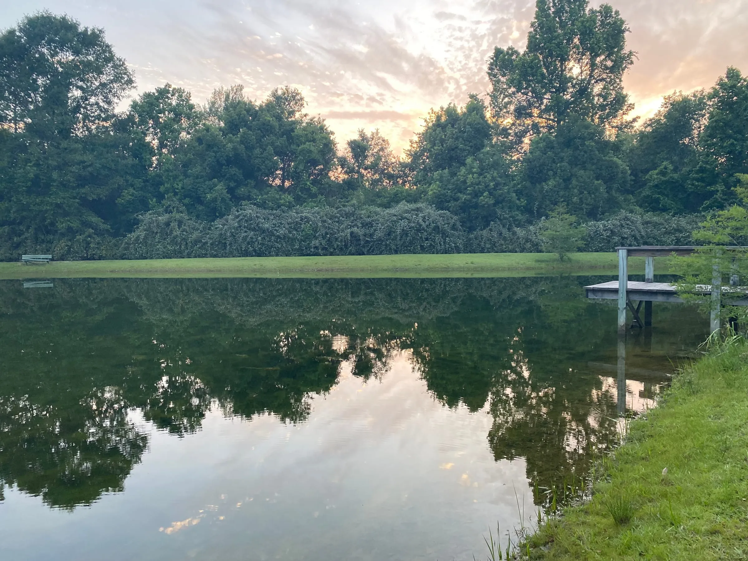 A view of my pond at sunset. You can see a mirror image of the trees in the water